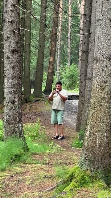 Лечебный место #красивый место #санктпетербург #болота #отдых смотреть онлайн