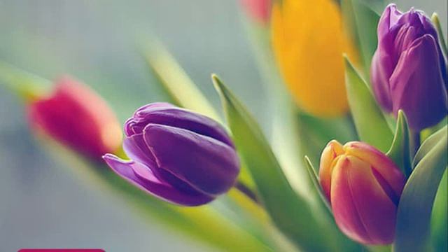 تكبيرات العيد بصوت الشيخ مشاري العفاسي смотреть онлайн