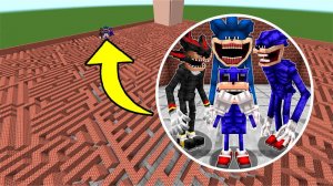 Что делает SHIN SONIC в ЛАБИРИНТЕ в Minecraft