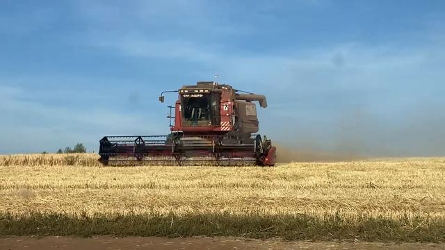 Кейс 2388 смотреть онлайн