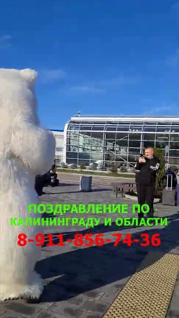 Неожиданная встреча в аэропорту!!! смотреть онлайн