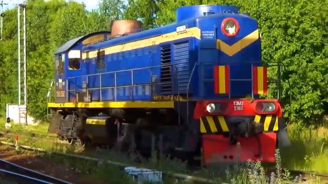 Учим поезда для детей. Викторина угадай поезд.