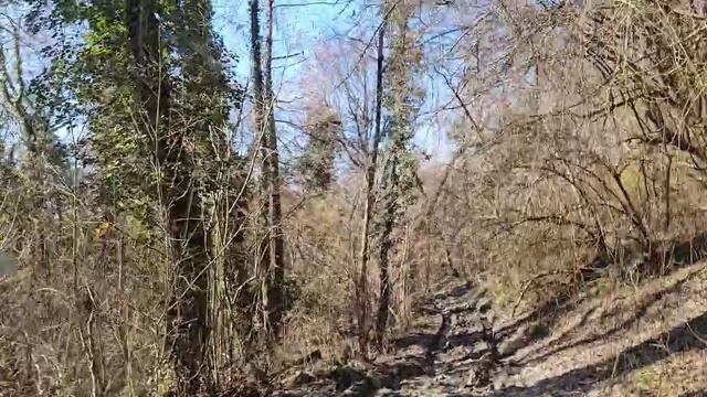 Хорошая дорога смотреть онлайн