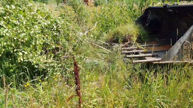 Корчевание кустарника, деревьев и пней фронтальным погрузчиком Амкодор 322 смотреть онлайн