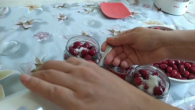 Zoğal turşusu.Zoğalın duza qoyulması. смотреть онлайн