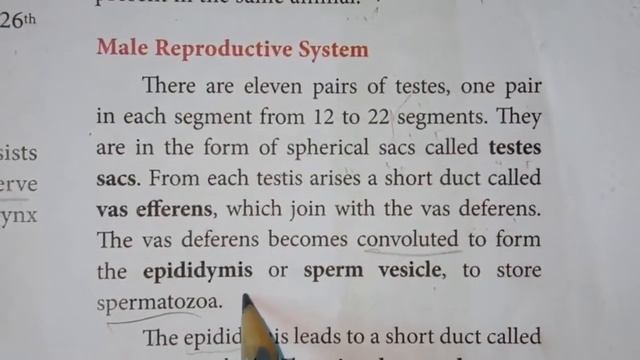 Class:10 Science. Unit :13. Nervous system,Excretory system and Reproductive System of Leech .