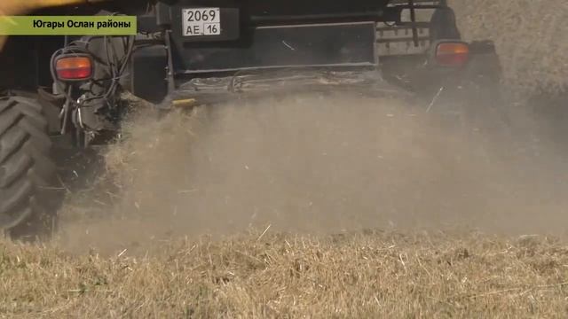 Ход полевых работ в филиале №4 агрофирмы 