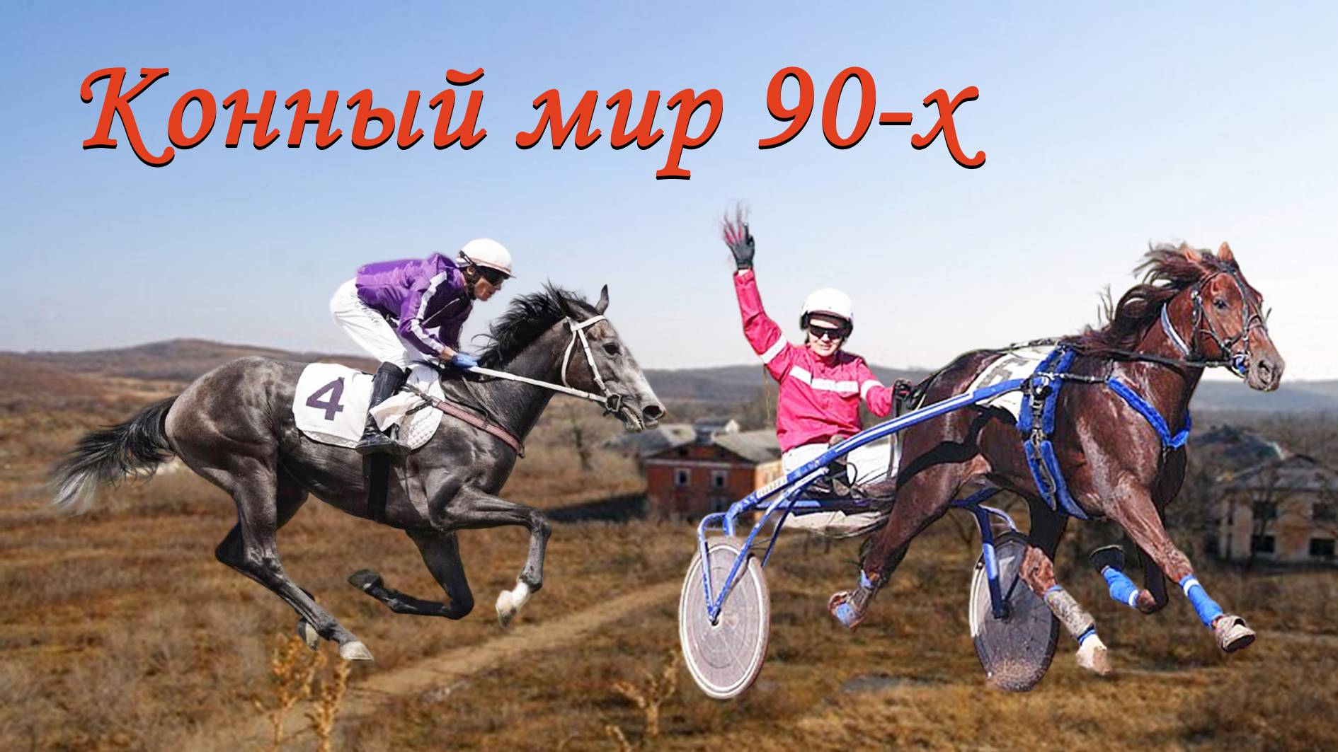 Богуславские бега и скачки лошадей