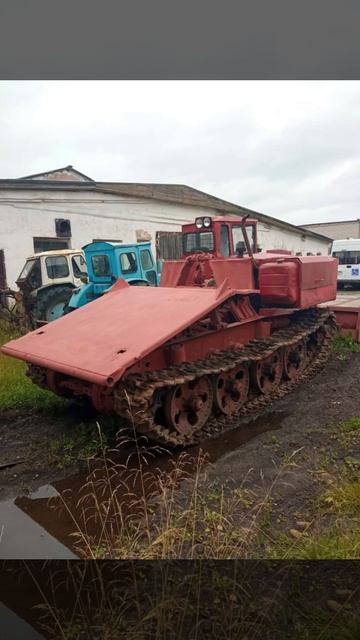 Ветеринарный врач Москва, поселок Коммунарка смотреть онлайн