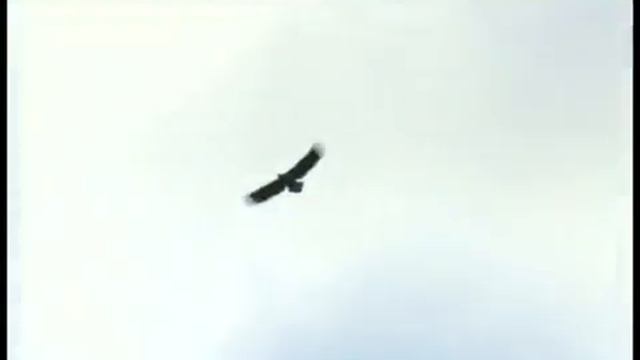 Томская область часть 2