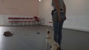 До/После. Различение команд