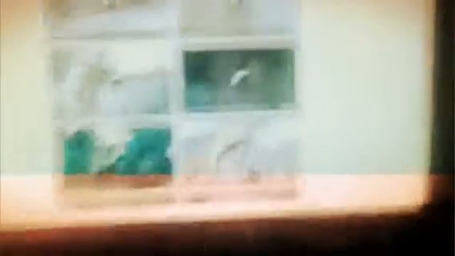 ржать всем  (Created With Magisto)