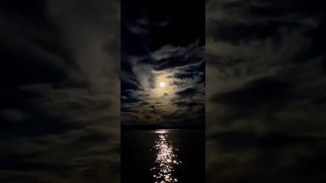 Poison Tree Remix By Liza V Posteli 2.0 (NOT MY SONG)!