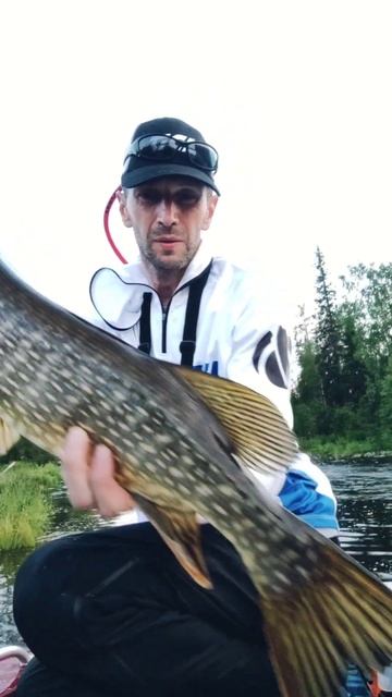 Бульдог "BRIALIN" 25cm в заглот! Проводка на течении бульдог в 25см #jerkbait #fishing #top смотреть онлайн