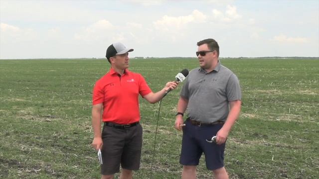Canola School: Manage blackleg well to manage verticillium better смотреть онлайн