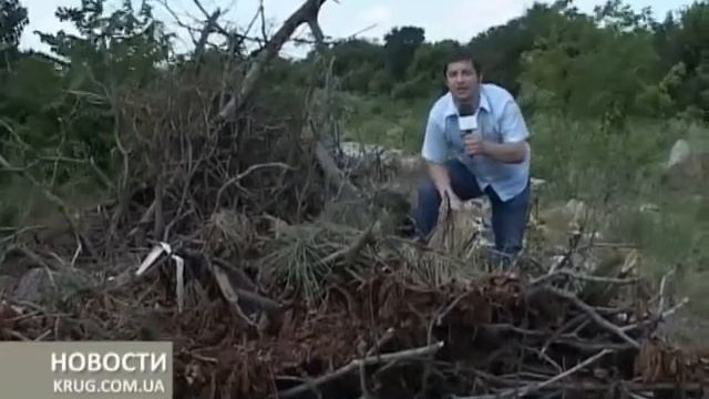 Свалка, скрывшаяся в камышах