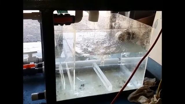 700 gallon planted anubias discus fish tank project at discus america смотреть онлайн