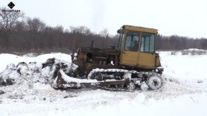 Едем к телкам на ДТ 75 толкать навоз