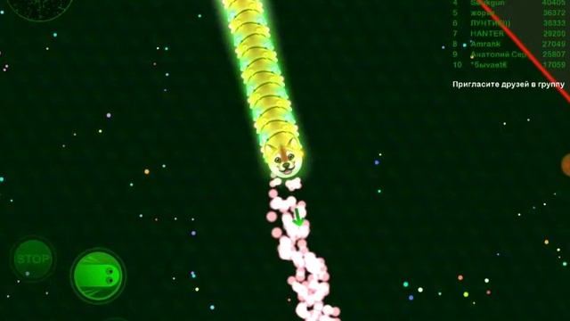 WORMAX.IO. Игра с братом