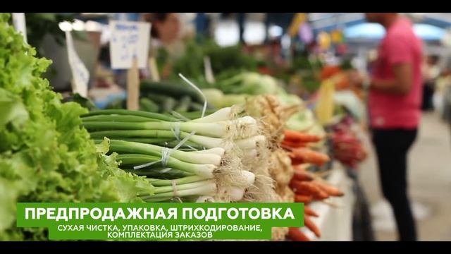 АГРОТЕРМИНАЛ Презентация смотреть онлайн
