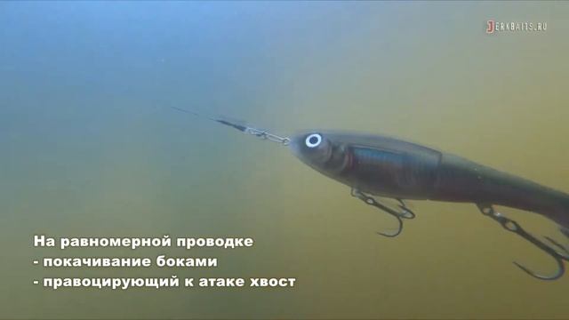RAPALA X-Rap OTUS 24см -работа приманки , джерк со сменным хвостом (свимбейт) смотреть онлайн