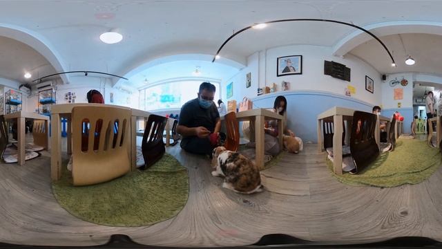 Hong Kong: The Bunny Cafe [360 VR] смотреть онлайн