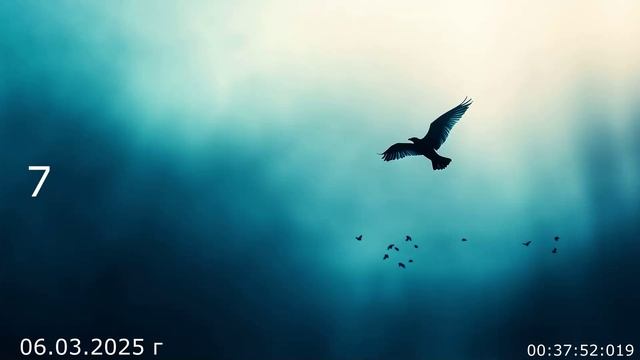 1021 Беседа 7 06.03.2025 г