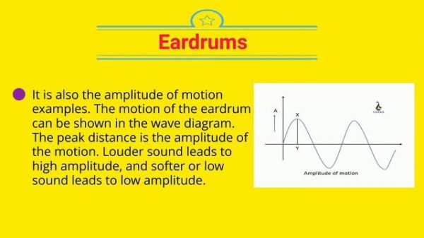 Amplitude Of Motion Examples: Detailed explanation