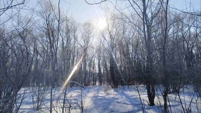 звуки смотреть онлайн