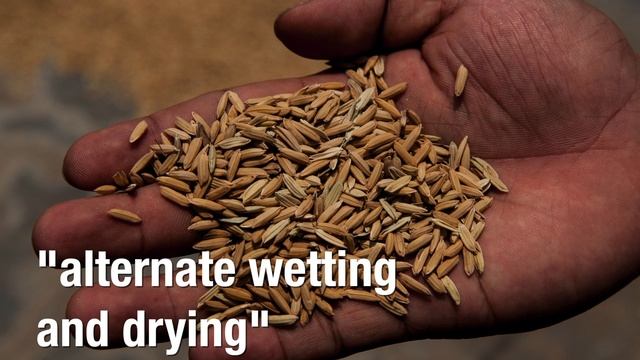 Climate-smart agriculture: what it's all about смотреть онлайн