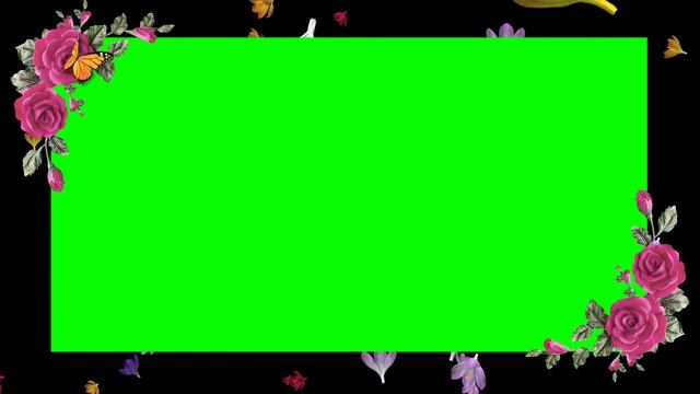 GREEN SCREEN FLOWER FRAME BORDER WITH BUTTERFLY 🦋