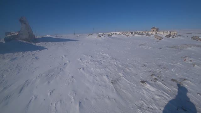 Охота на зайца. Закрытие ,февраль 2025 год.