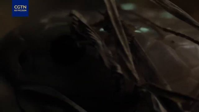 Как Китайская кобра — Naja Atra потерпела поражение в поединке с землеройкой (сем. Soricidae) ?