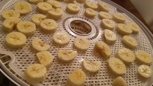 How To Dehydrate Bananas In A Food Dehydrator | Dehydrating Bananas For Long Term Food Storage