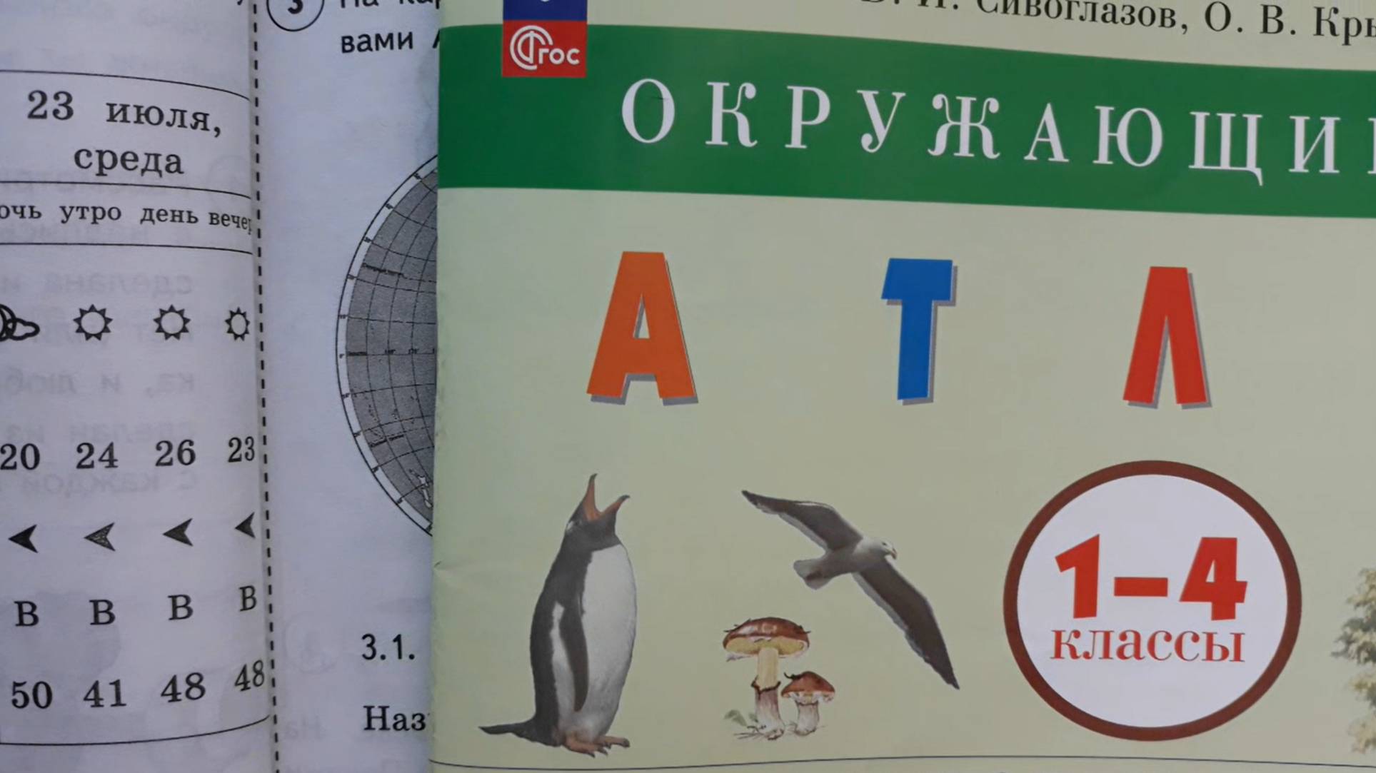 ВПР Окружающий мир 4 класс 2025 год, вариант 5 из 25 смотреть онлайн