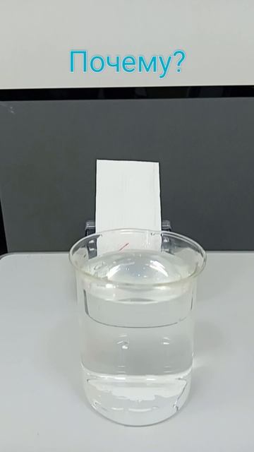 Опыт по физике на отражение и преломление света                         #физика #эксперименты #опыт