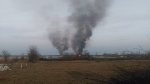 Почему с наступлением весны жгут сухую траву?