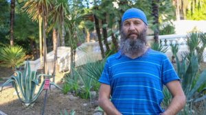 Как Работают Мантры