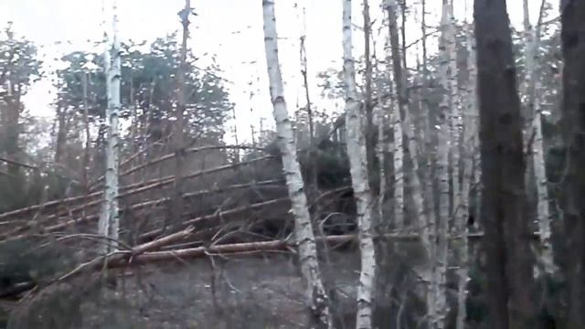 НЛО Посещение места его посадки 28. 3.2014