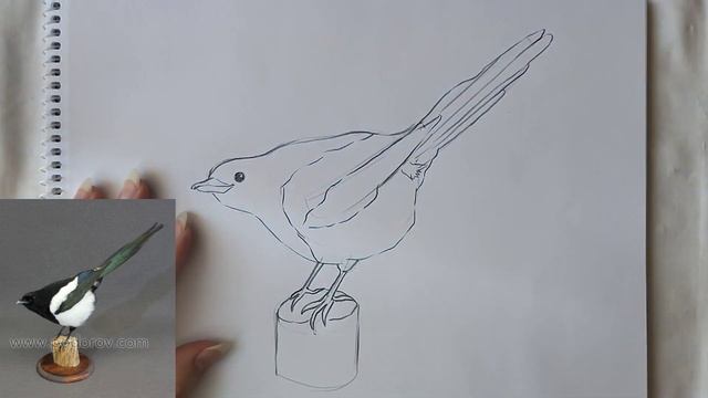 Замальовка опудало птаха смотреть онлайн