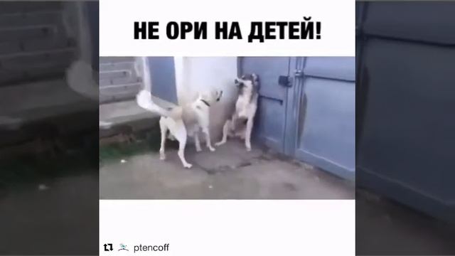 Не ори на детей!!! смотреть онлайн
