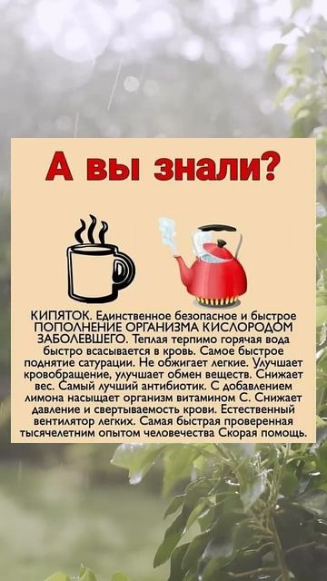 А ВЫ ЗНАЛИ что это очень полезно? смотреть онлайн
