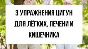 Как Цигун восстанавливает здоровье: Тройной обогреватель для легких, желудка и почек!