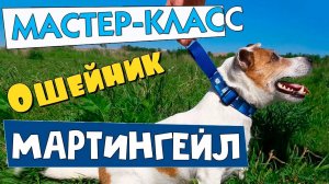 Ошейник МАРТИНГЕЙЛ/Ошейник для собаки своими руками/Ошейник ПОЛУУДАВКА/ DIY Martingale Collar