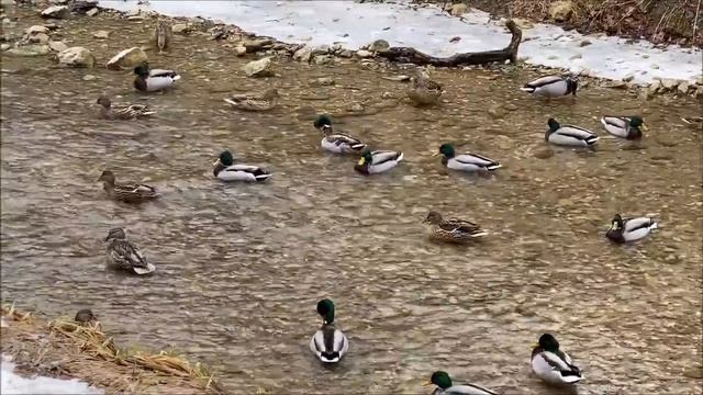 КИСЛОВОДСК 25-12-2024