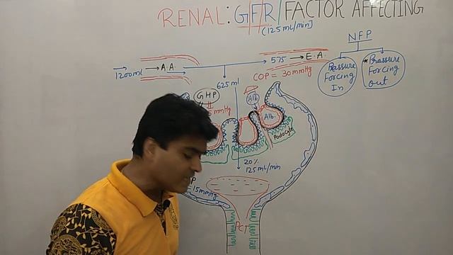 Urinary System Part 2 | Glomerular Filtration Rate - GFR | Renal Physiology | Factor affecting GFR смотреть онлайн