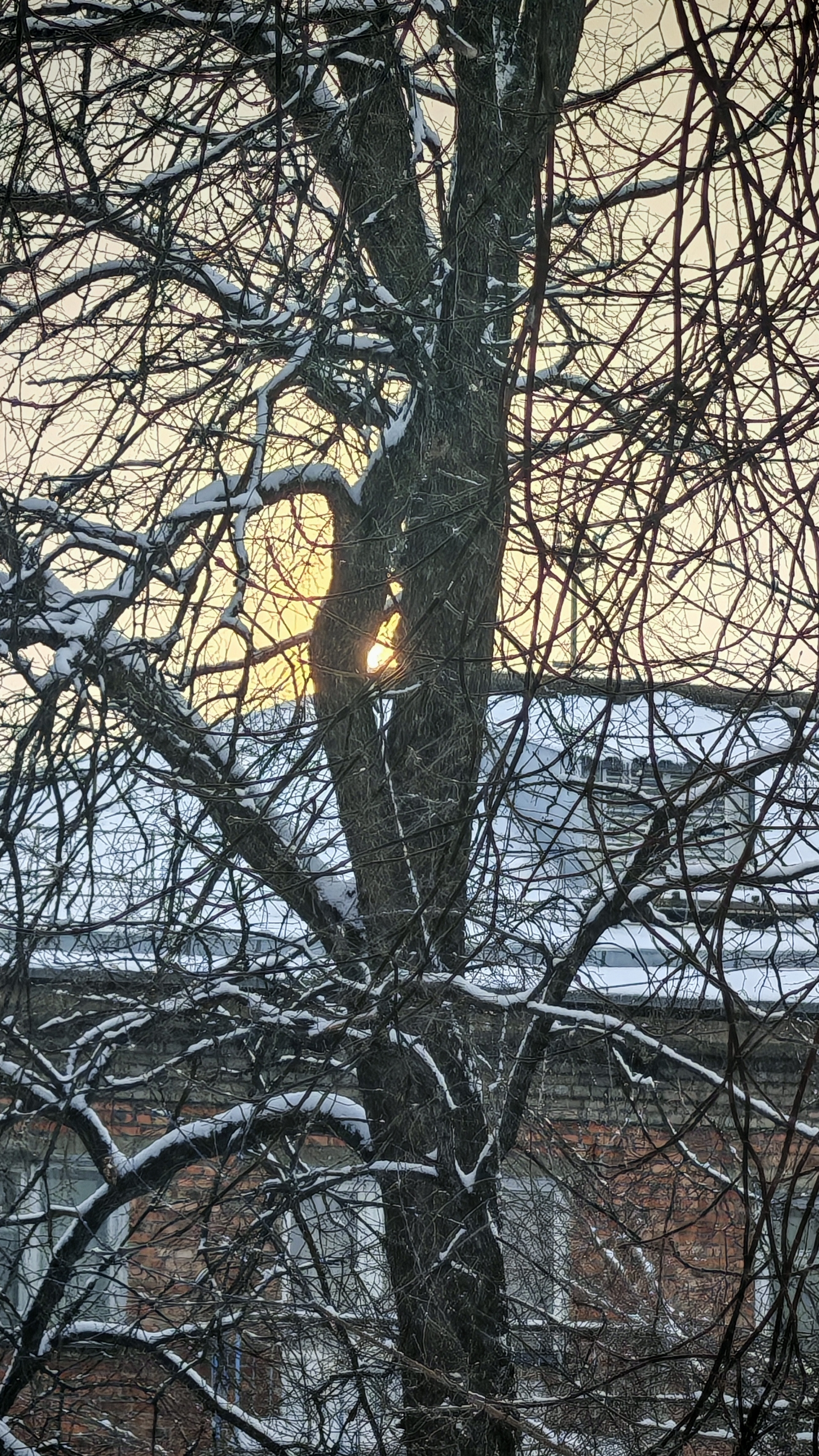 Снегопад 11 марта в Новосибирске ❄️ смотреть онлайн