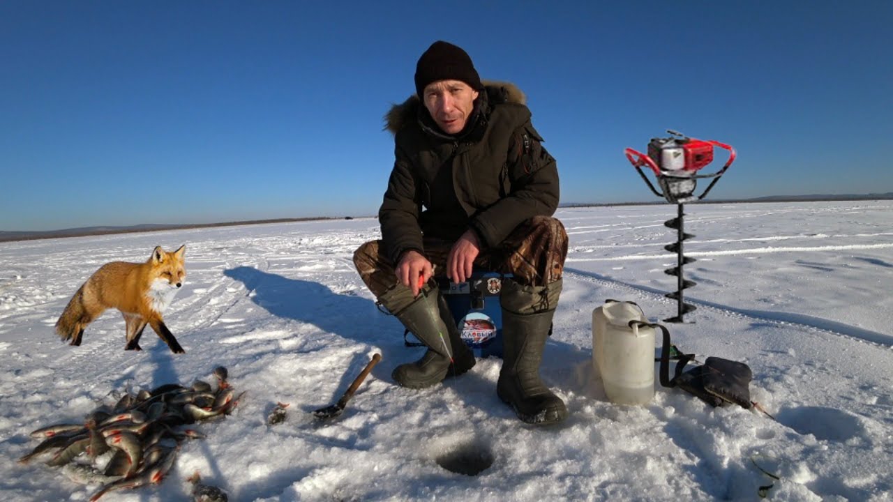 Рыбалка на окуня зимой на мормышку. смотреть онлайн