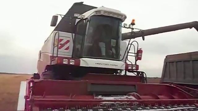 Torum 750.Выгрузка пшеницы !!!