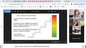 5F или типы реакций на стресс
